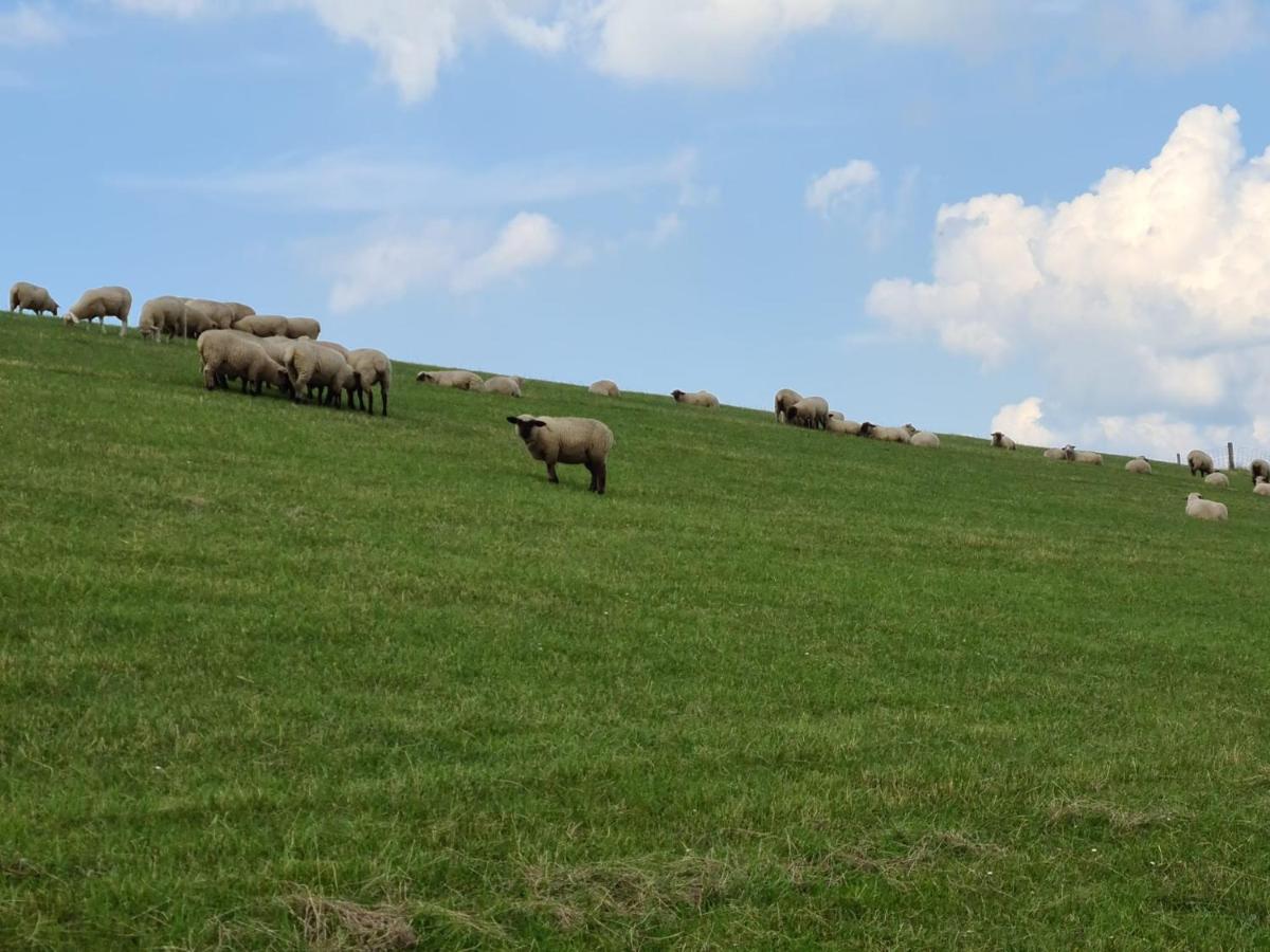 Haus Kuestenbrise - Urlaub Mit Hund An Der Kueste Mit Eigenen Garten, Sauna Und Gemuetlichen Kaminfeuer Schweiburg Luaran gambar